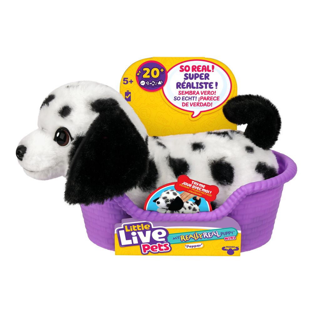 Little Live Pets My Really Real Puppy Minis- Pepper the Dalmatian| Interactive Puppy with 20+ Sounds & Reactions- Includes Basket for Display. Fun & Adorable Gift for Kids (11cm/4.3in tall)